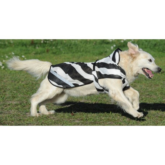 Couverture chien Zebra - Bucas - BUCAS - Manteau pour chien - Equestra