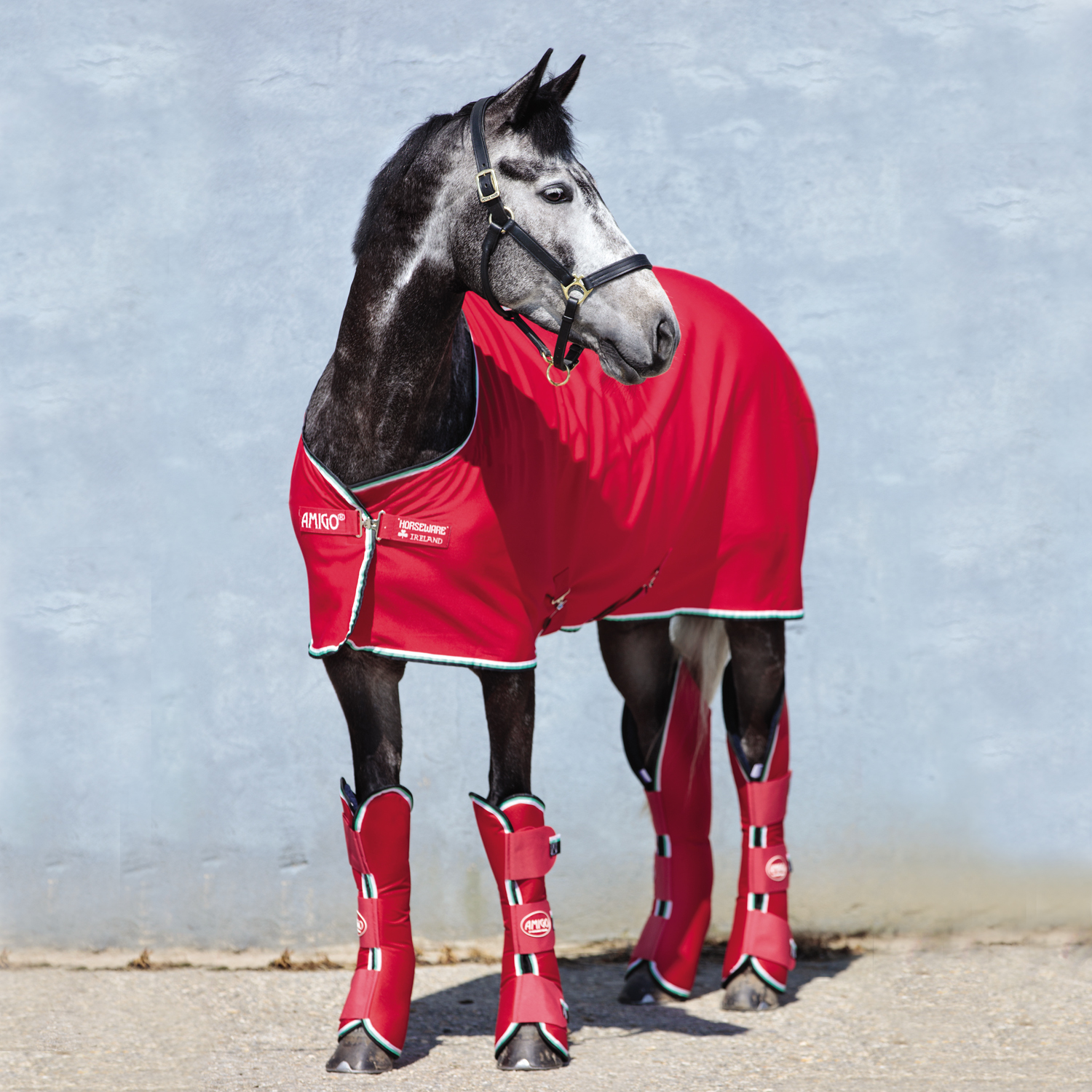 Chemise séchante cheval Amigo Jersey Cooler