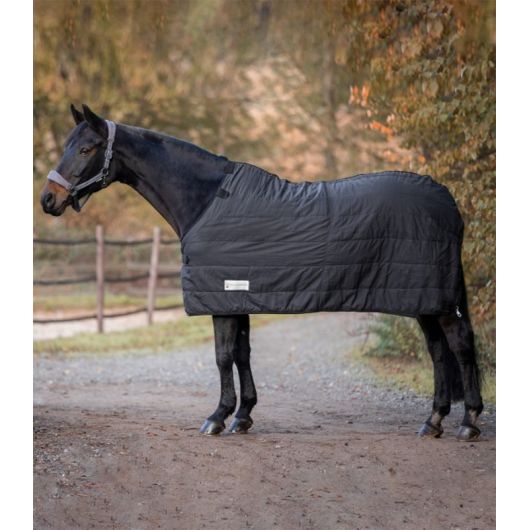 Sous couverture cheval anti-glisse Thermo Clip'in system 100g Waldhausen -  Eque