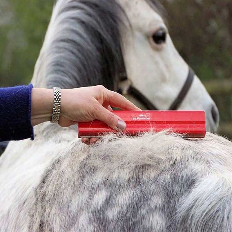 brosse anti mue cheval