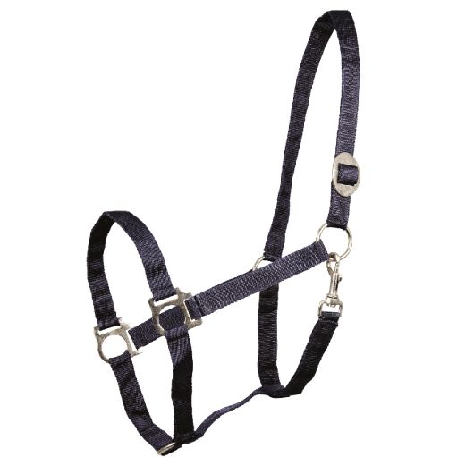 Licol cheval nylon doublé doux Perlon - Waldhausen