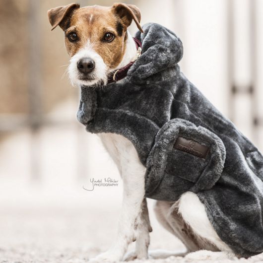 manteau chien fashion