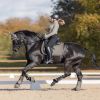 Guêtres de dressage doublé en mouton Pegasus - Waldhausen 