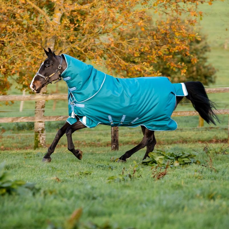 Couverture extérieur cheval 300g avec cou Rambo Duo - Horseware - HORSEWARE  - Couvertures imperméables cheval - Equestra