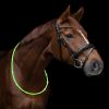 Collier d'encolure cheval led - Waldhausen