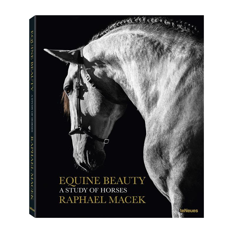 L/E2B TENEUES EQUINE BEAUTY