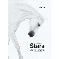 L/E2B BENTELI STARS EQUINE PORTRAITS