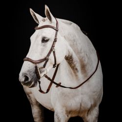 Couverture imperméable cheval Rambo Original turnout 200g - Horseware -  HORSEWARE - Couvertures imperméables cheval - Equestra