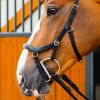 Bridon cuir anatomique cheval Micklem Rambo Deluxe Competition - Horseware