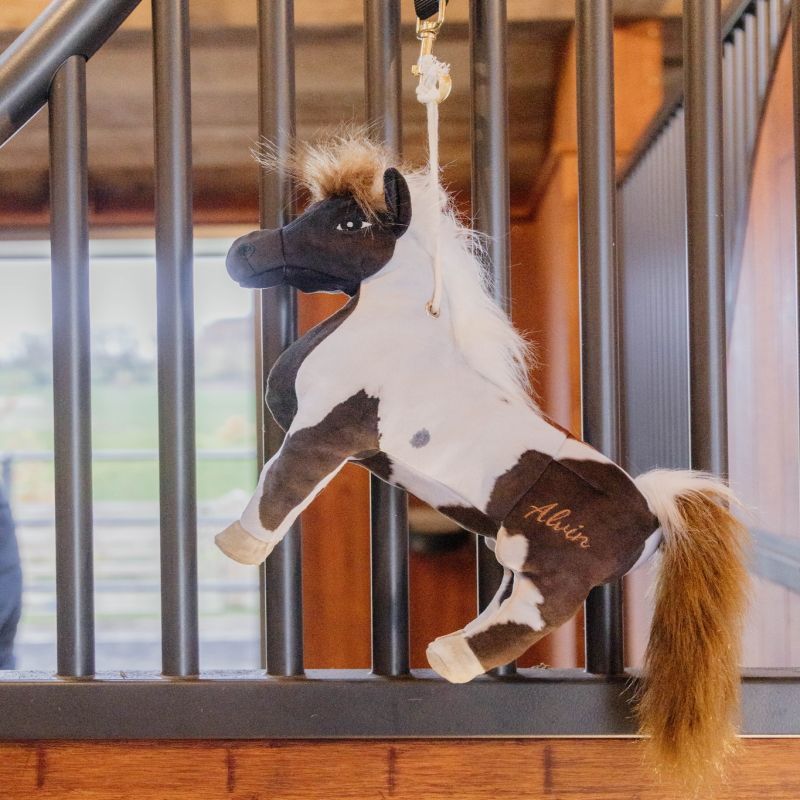 Jouet cheval relaxant - Kentucky Horsewear