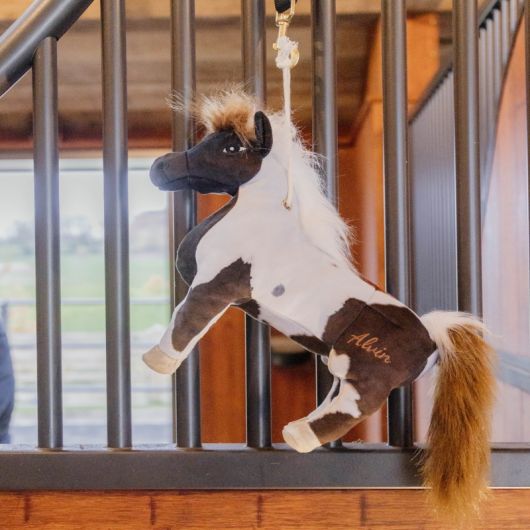 Jouet cheval relaxant - Kentucky Horsewear