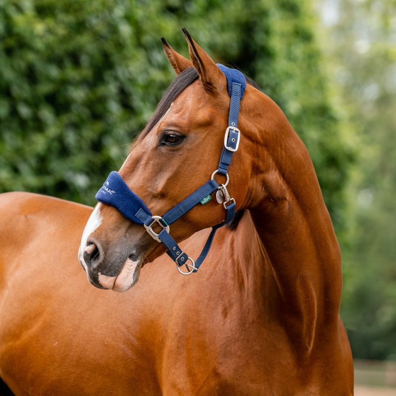 Licol cheval Grooming Signature - Horseware