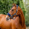 Licol cheval Grooming Signature - Horseware