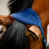 Licol cheval Grooming Signature - Horseware