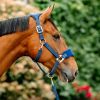 Licol cheval Grooming Signature - Horseware