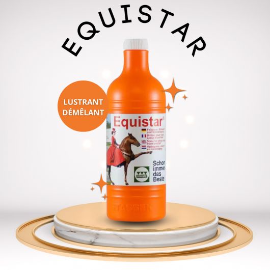 Recharge lustrant démêlant 750 ml Equistar - Stassek