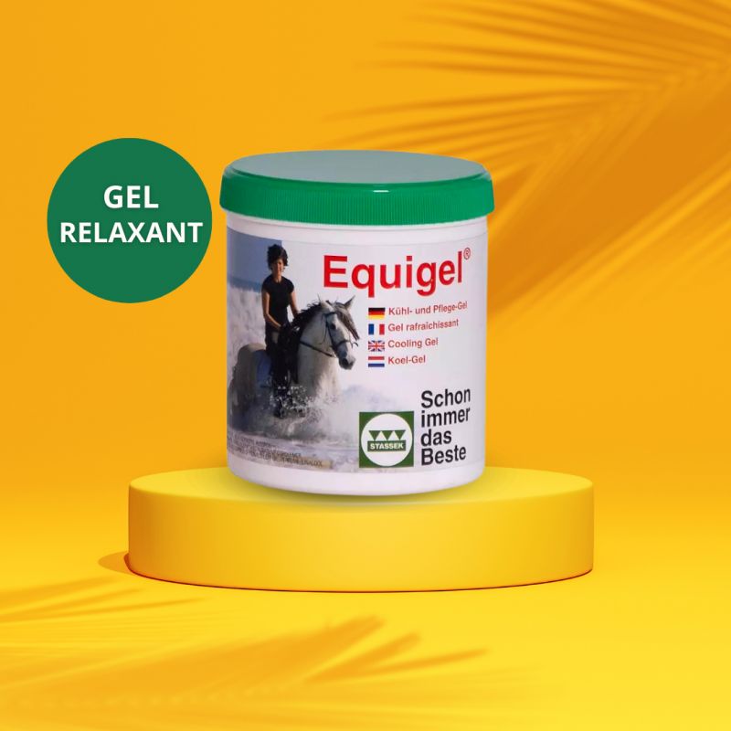 Gel rafraîchissant relaxant cheval Equigel - Stassek