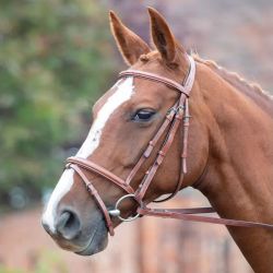 Bridon cuir cheval Avignon - Shire