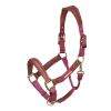 Licol cuir et nylon cheval Velociti Lusso - Shires 