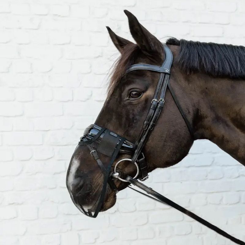 Protège-naseaux anti-mouche cheval - Kentucky