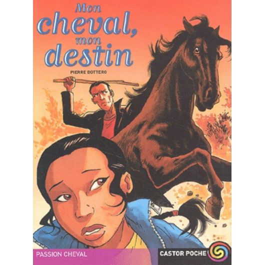 Mon cheval, mon destin - Castor Poche