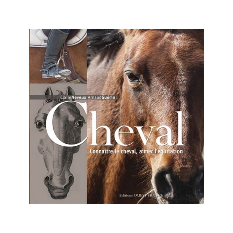 Cheval - Connaitre, aimer l'équitation - Ouest france