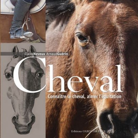 Cheval - Connaitre, aimer l'équitation - Ouest france