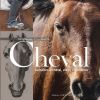 Cheval - Connaitre, aimer l'équitation - Ouest france