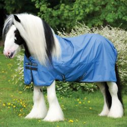 Couverture imperméable grand cheval Amigo Hero Lite XL 900 0g - Horseware