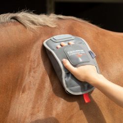 Gant de massage chauffant cheval - Equilibrium 