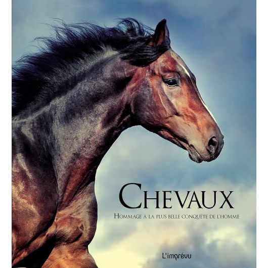 Chevaux - Hommage à la plus belle conquête de l'homme - L'imprévu