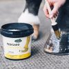 Pediguard onguent cheval blond Ravene - Equestra