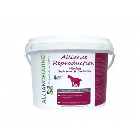 Alliance reproduction mineral jument - Alliance Equine