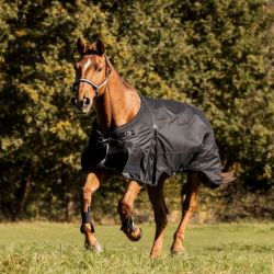 Couverture imperméable cheval Scandic 50 g - Waldhausen