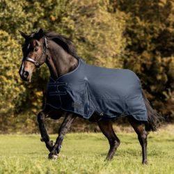 Couverture imperméable cheval Arctic 100 g - Waldhausen