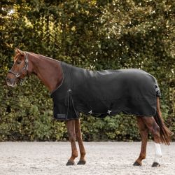 Couverture imperméable cheval Arctic encolure haute 100 g - Waldhausen