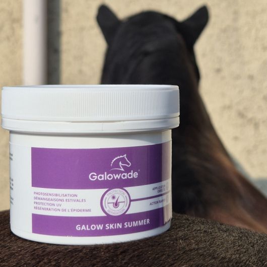 Galow Skin dermite et protection solaire cheval - Galowade