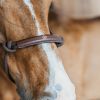 Licol éthologique et éducatif cheval - Dyon