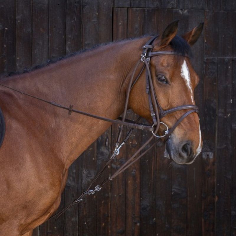 Gogue à poulies cheval Riding World