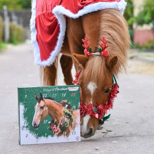 Calendrier de l'avent pour chevaux Natural'Christmas Gourmet - Natural'Innov