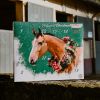 Calendrier de l'avent pour chevaux Natural'Christmas Gourmet - Natural'Innov