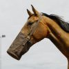 Mangeoire musette en toile cheval