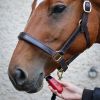 Tondeuse de finition cheval Batterie Robin - Liveryman