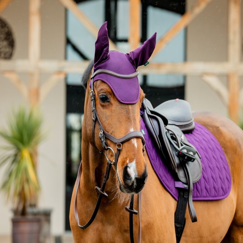 Bonnet anti-mouche cheval Amigo Ear Net - Horseware