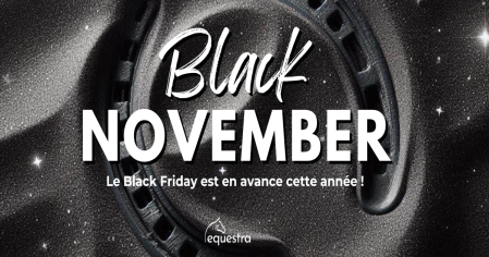 BLACK NOVEMBER