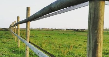 Testeur de ligne pour clôtures équitation Cheval et Poney - Ako